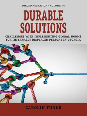 cover image of Durable Solutions
